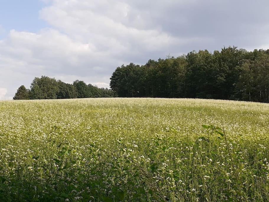 Schoene Und Ruhige Ferienwohnung In Ottendorf زبنيتس المظهر الخارجي الصورة