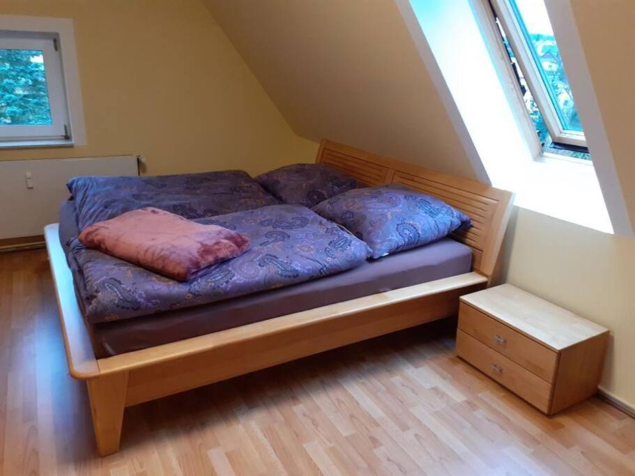 Schoene Und Ruhige Ferienwohnung In Ottendorf زبنيتس المظهر الخارجي الصورة